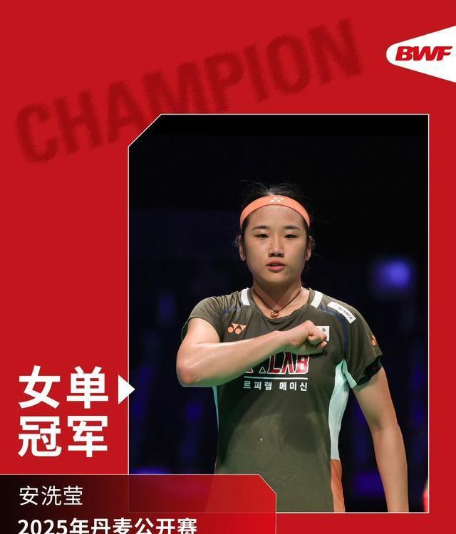 达成混双项 达成混双项